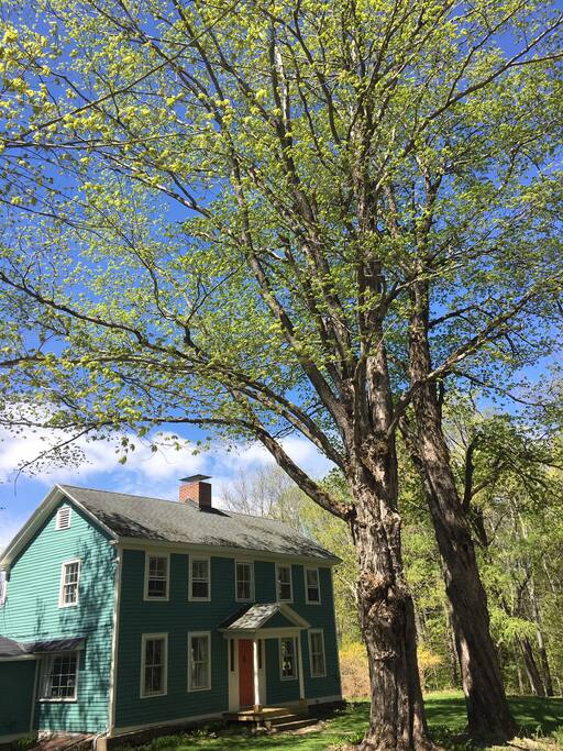 Two of our properties WOLF TREES, in the full bloom of spring.