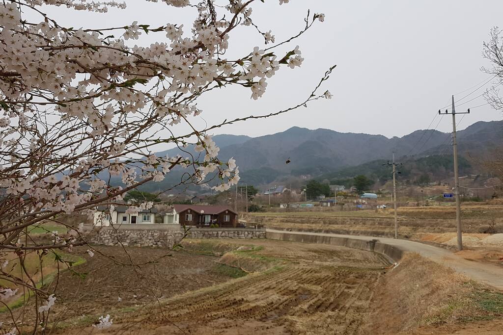 봄
