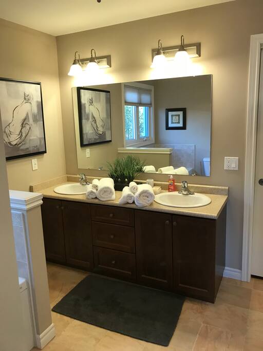 Double sink large shower jacuzzi tub