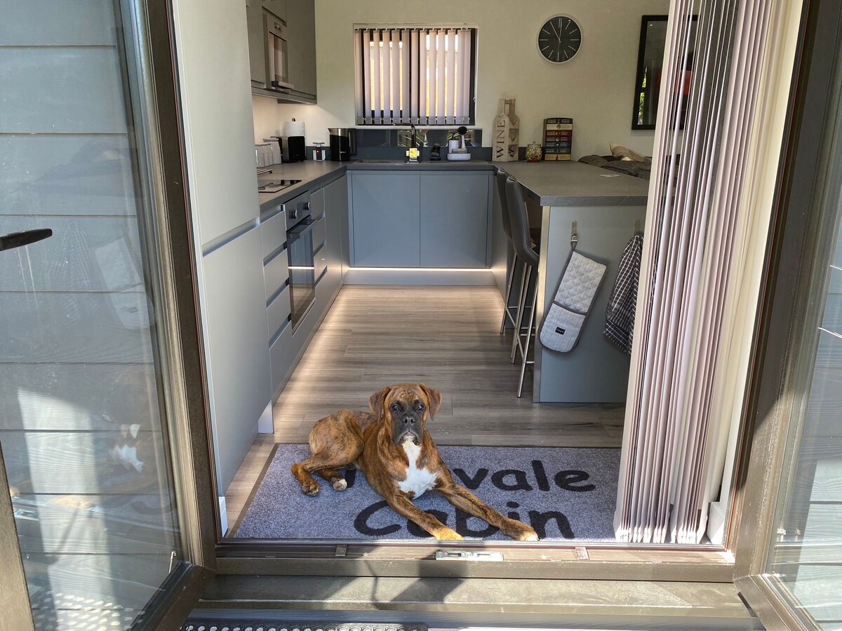 The kitchen area is visible, featuring modern cabinetry and appliances. A pet-friendly mat displays the Torvale Cabin logo. A dog rests on the mat, adding a welcoming touch to the spacious layout that includes a countertop overlooking the kitchen.