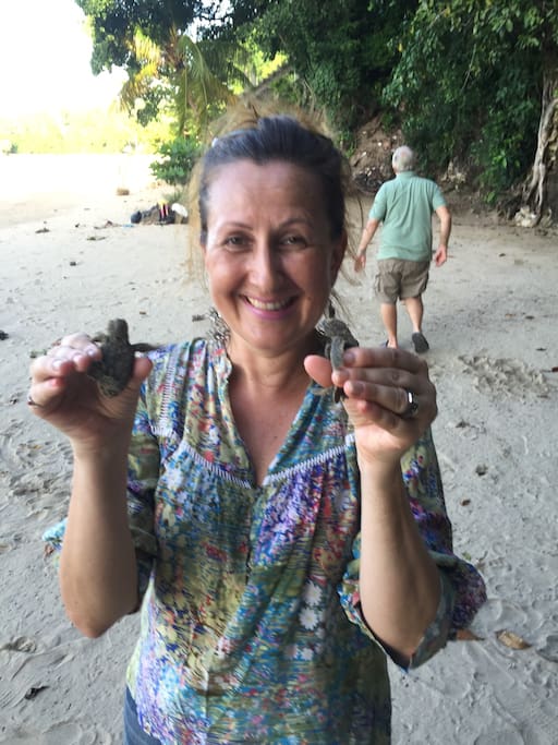 Oracabessa Bay Sea Turtle Project -Washed and learned about lives of 57 days old Jamaican Turtles and sent to off to Ocean with Warm Wishes and Happy Heart