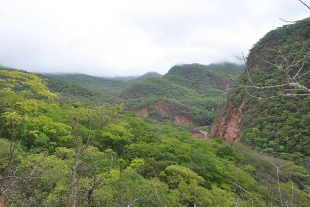 Paisajes de la Finca