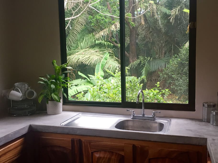 Kitchen with a view!