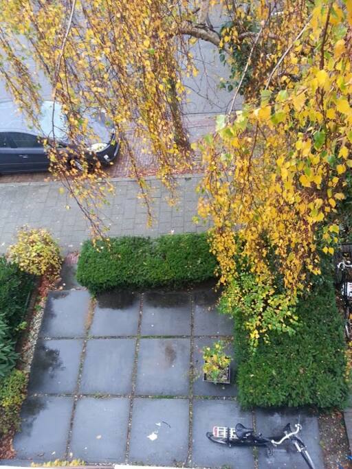Voortuin (herfst)