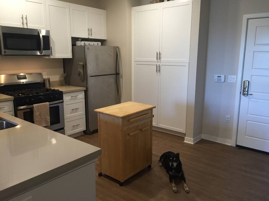 Kitchen w/ doggy #1