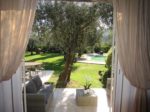 Amazing 6 bed villa with heated pool