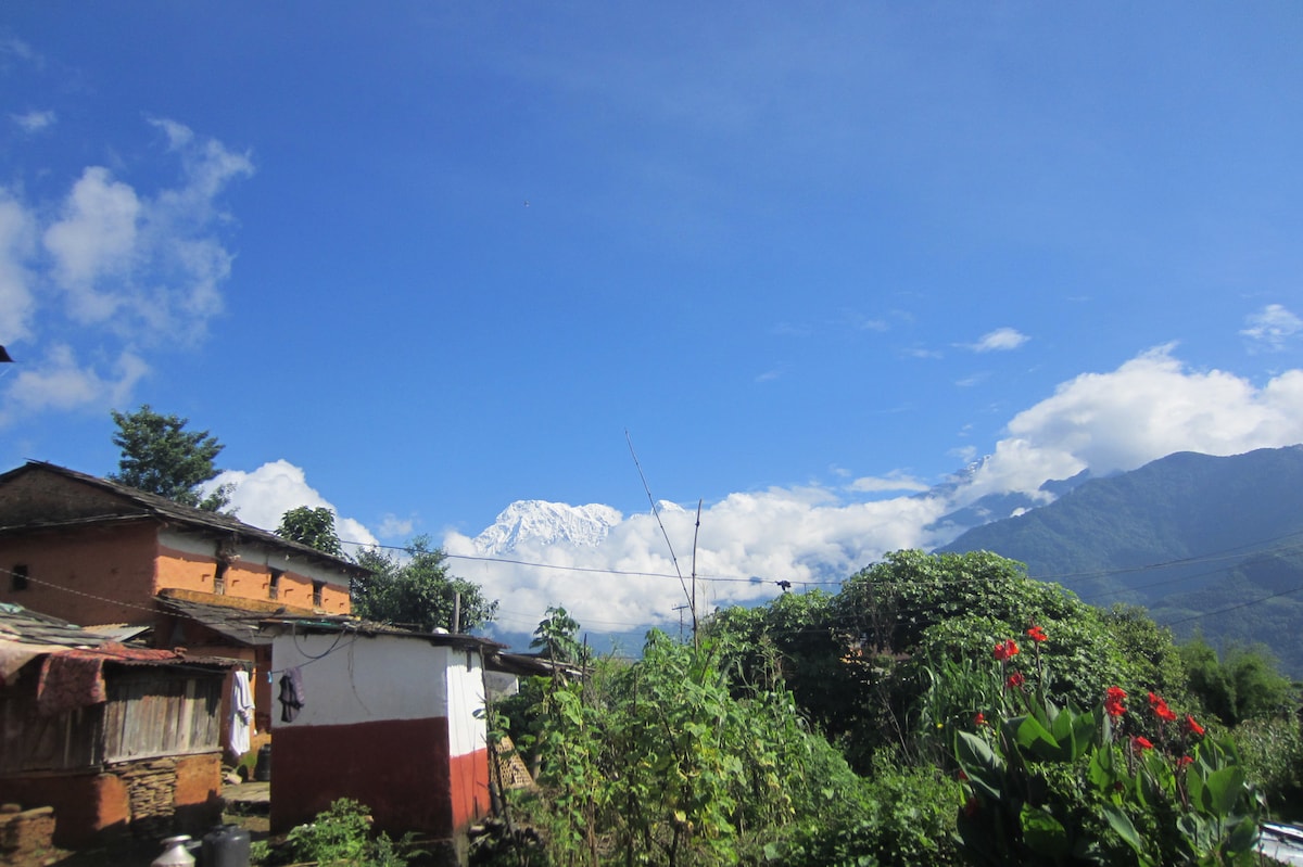 A vibrant rural scene captures the eco village house surrounded by lush greenery and colorful flowers. The majestic mountains, partially obscured by clouds, create a picturesque backdrop under a clear blue sky. The neighboring houses display local architectural styles, contributing to the serene atmosphere.