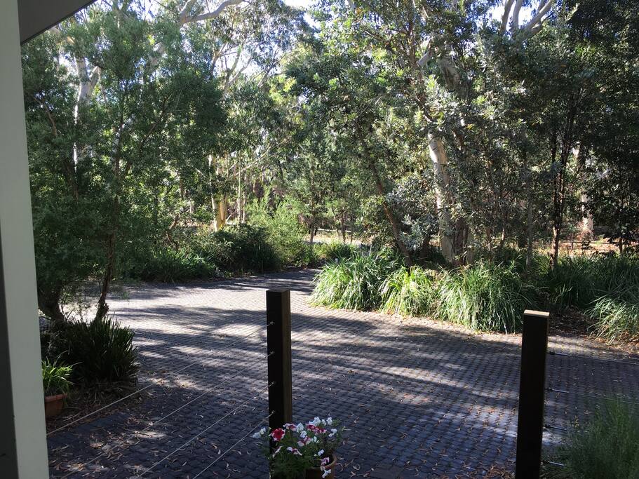 And the National Park directly across the street ... couldn't ask for more!