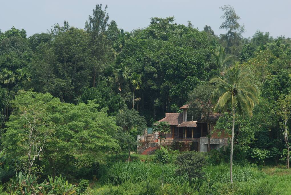 View from the opposite bank of the reservoir
