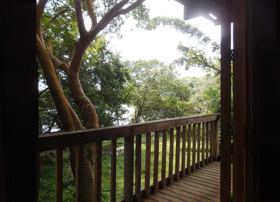 View from the cabin's sleeping quarters