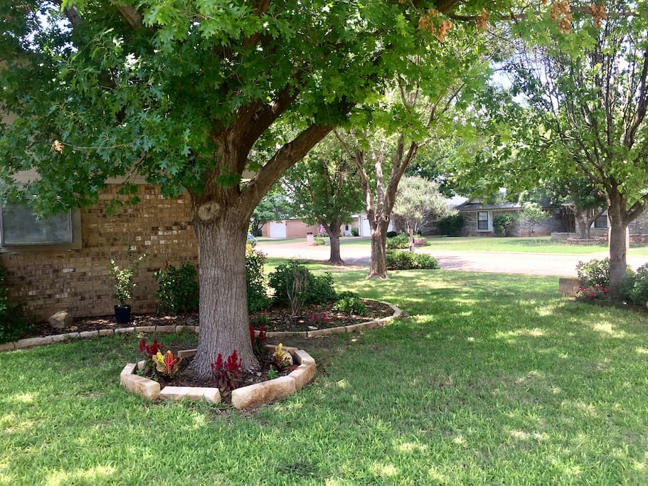 Yard