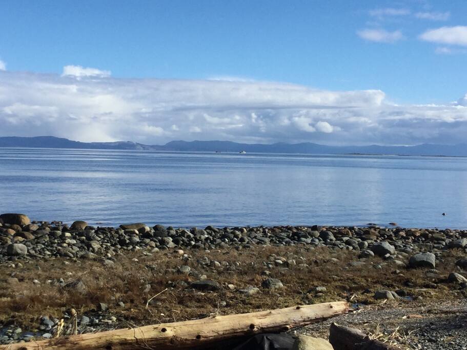 Beautiful views of Baynes Sound, steps to the beach.
