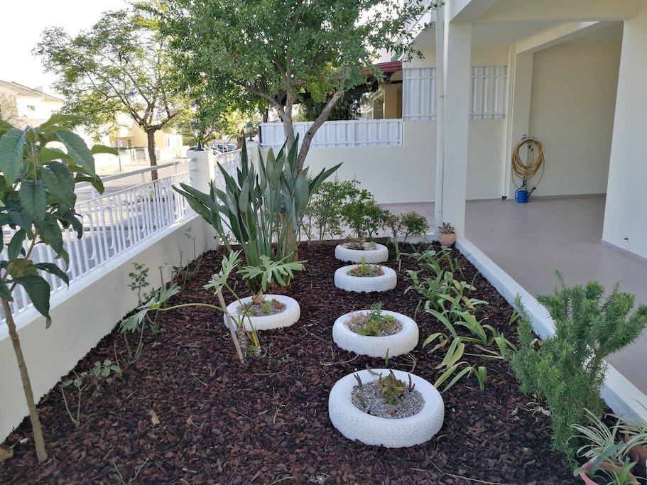 O jardim de entrada.