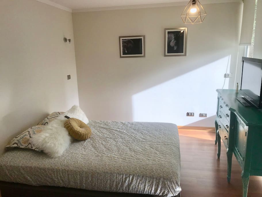 Second room "Animals"