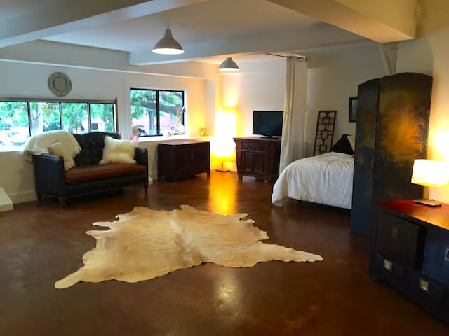 Gorgeous downtown studio apt off the Mall!