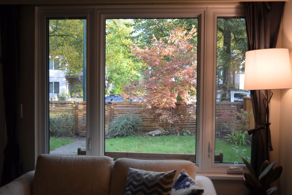 Front windows