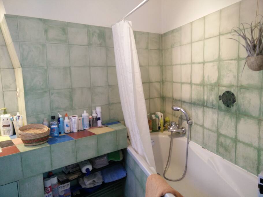 salle de bains / bathroom