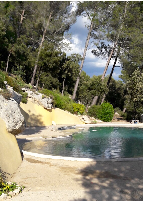 A tranquil swimming pool is surrounded by lush greenery and tall pine trees. The water reflects the sky above, while a natural stone border outlines the pool. Soft earth tones characterize the surrounding area, enhancing the serene environment.