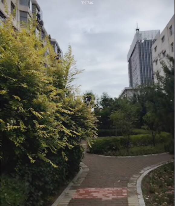 南面楼下