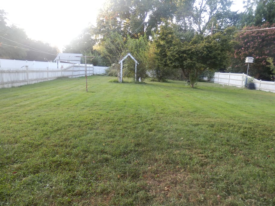 Backyard