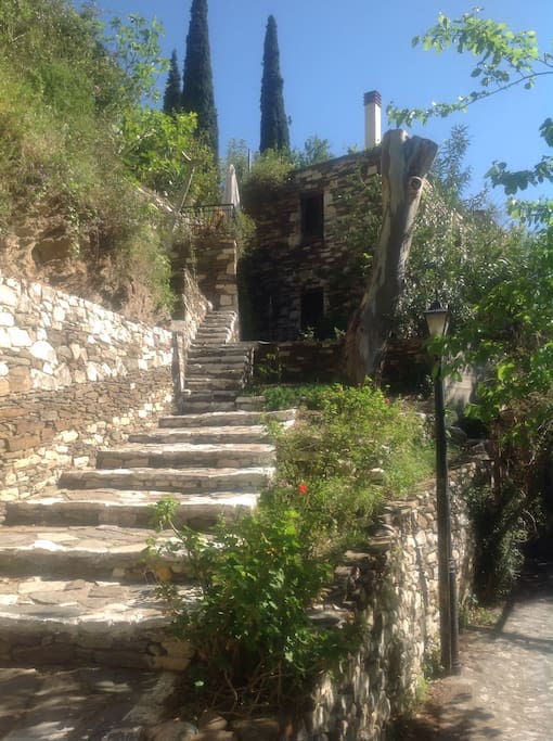a lot of steps will bring you to nice views