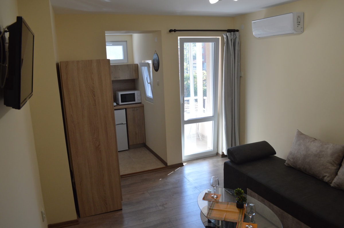 A cozy studio space features a comfortable seating area with a dark sofa and soft cushions. A glass table is set with dinnerware. The kitchenette is visible, equipped with a microwave and refrigerator. Natural light streams through a nearby window, adding brightness to the warm-colored walls.
