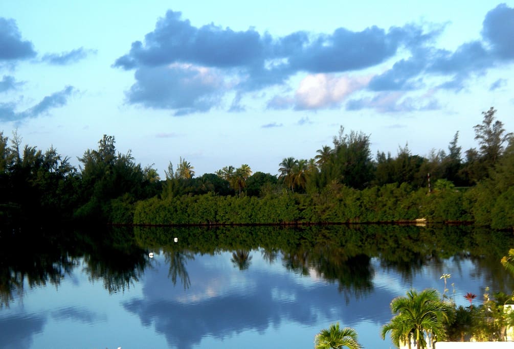 Vue sur le Golf