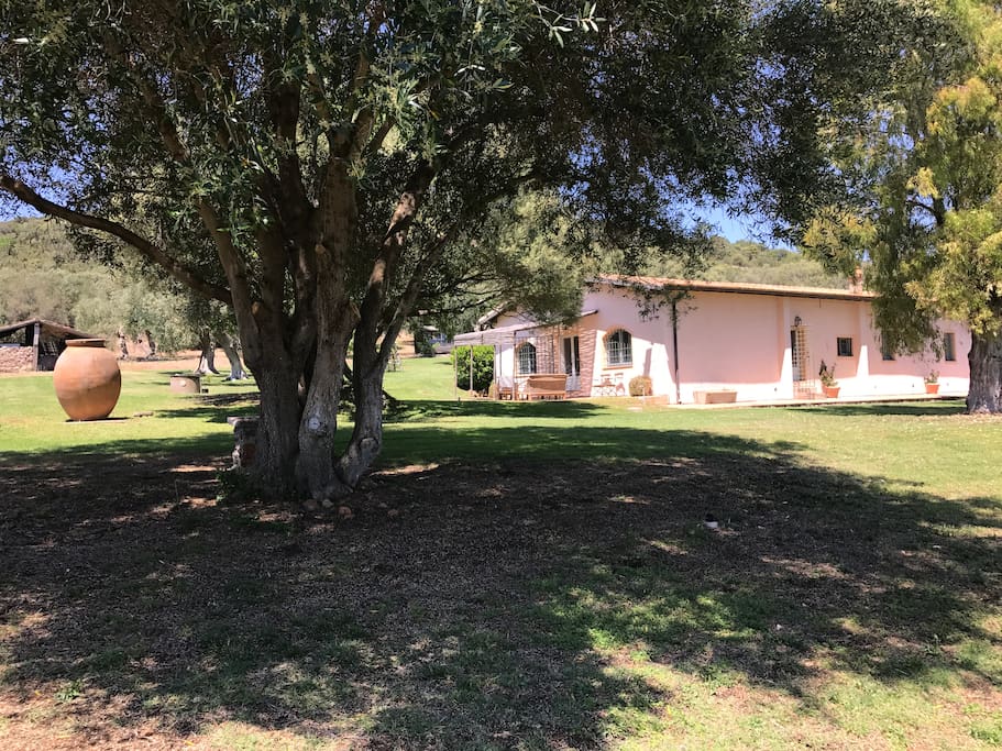 Main house, separate entrance