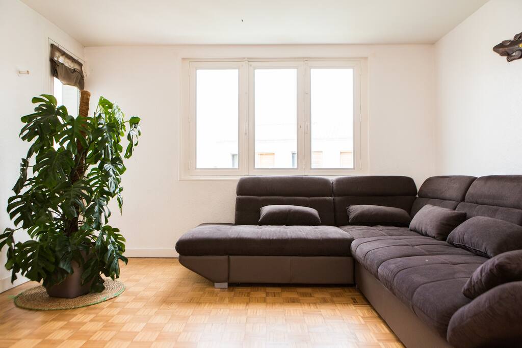 Le salon, couchage supplémentaire pour 3 enfants ou 2 adultes