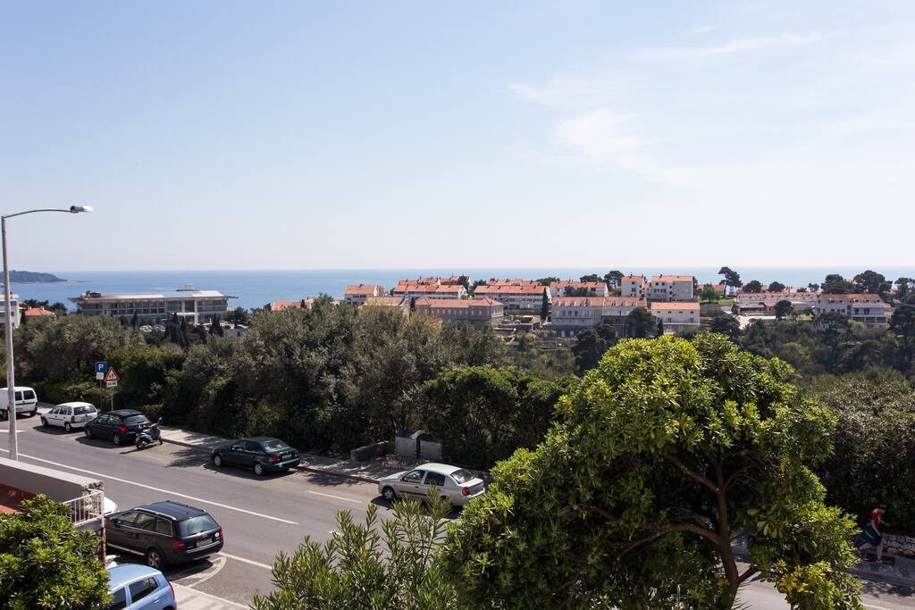 The view