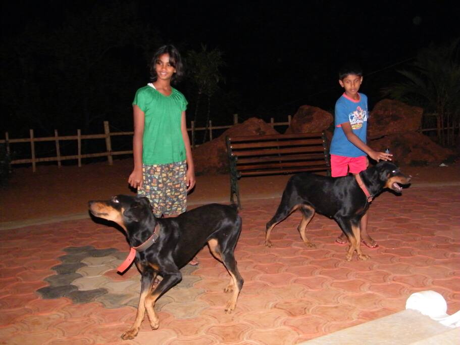With Candy & Tiger