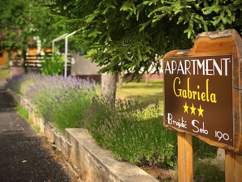 Apartment Gabriela