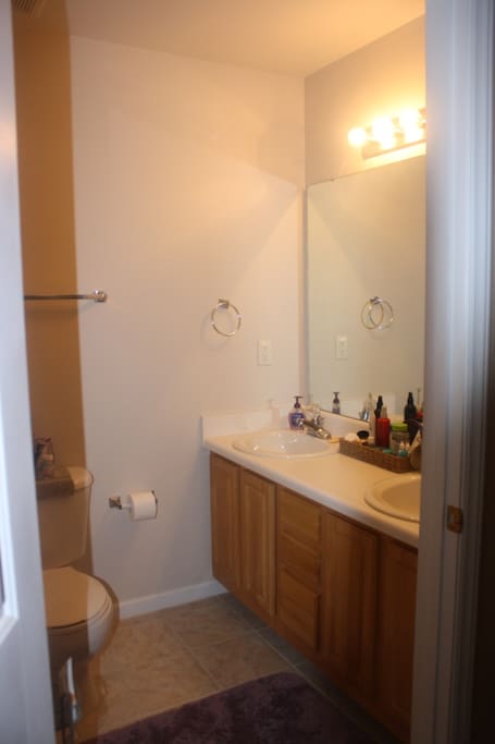 Two Basin Sink