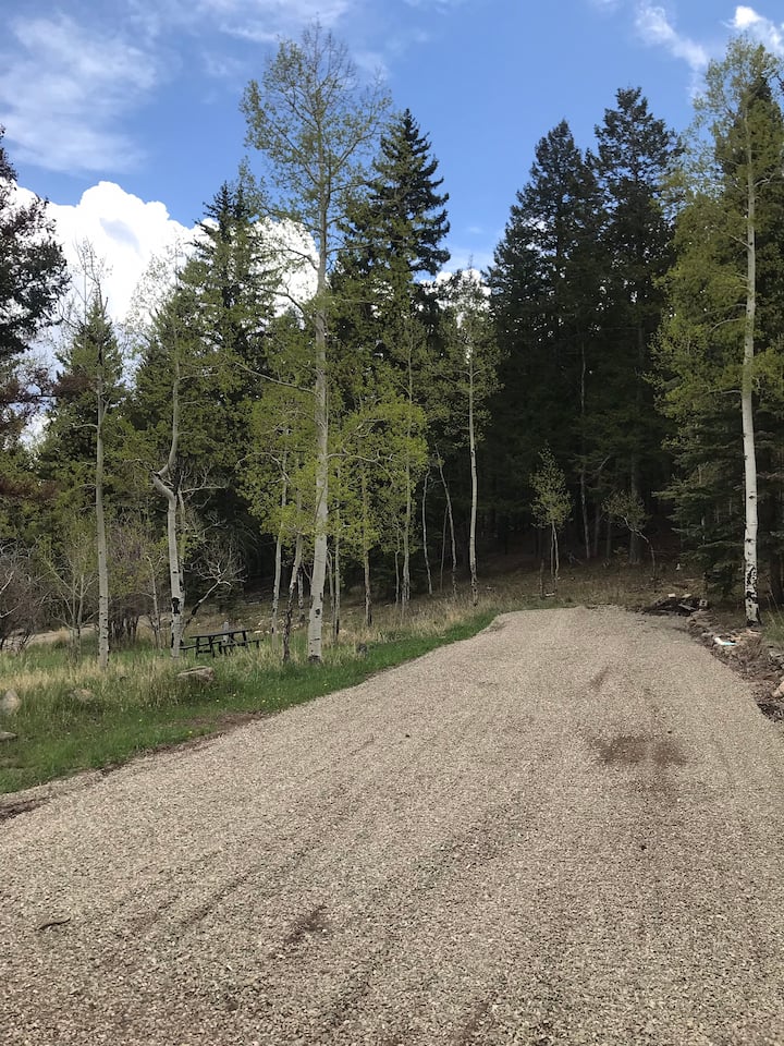 RV site 3/6, Deer Creek Mountain Camp, Bailey CO Campsites for Rent