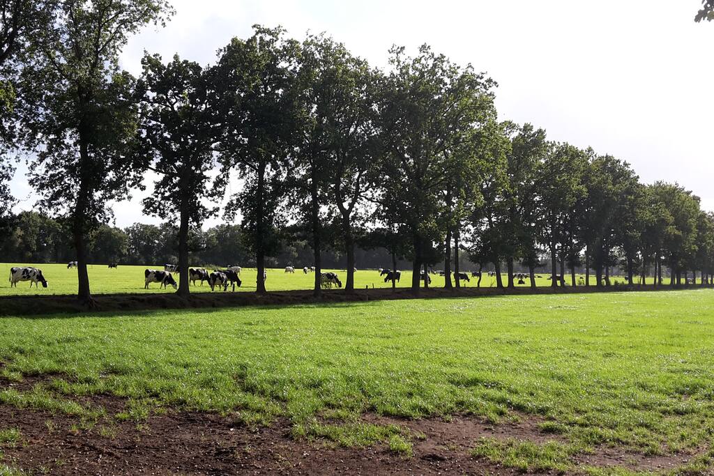 Uitzicht vanuit het huisje over de landerijen