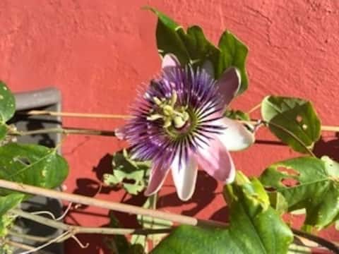 Charming Apartment in Old Town