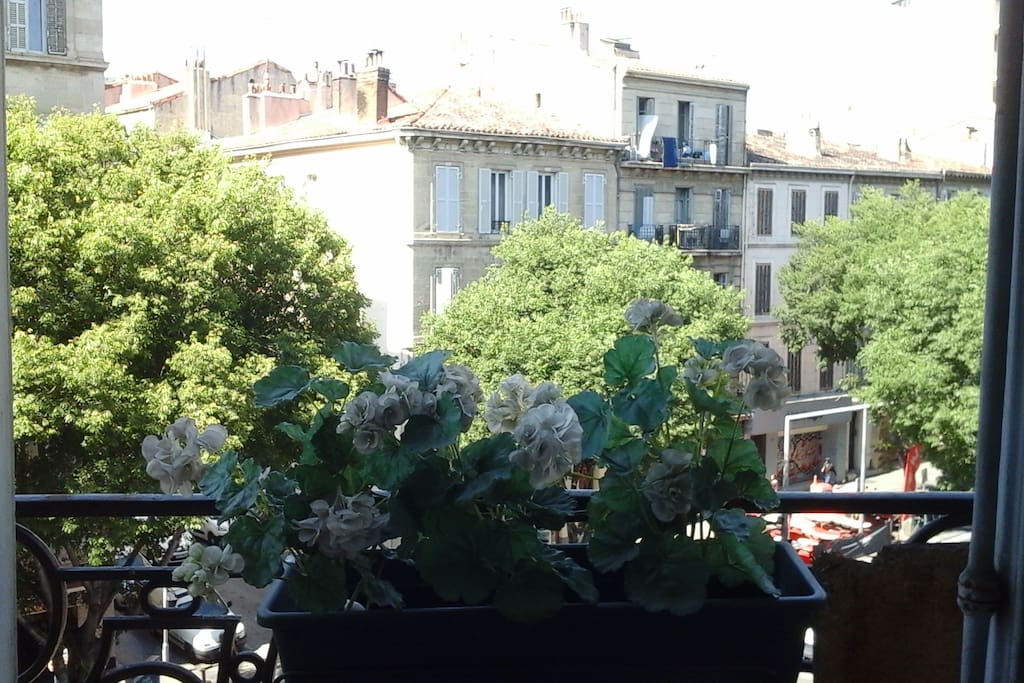 La vue du balcon