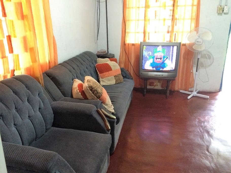 Salón, tv con cable