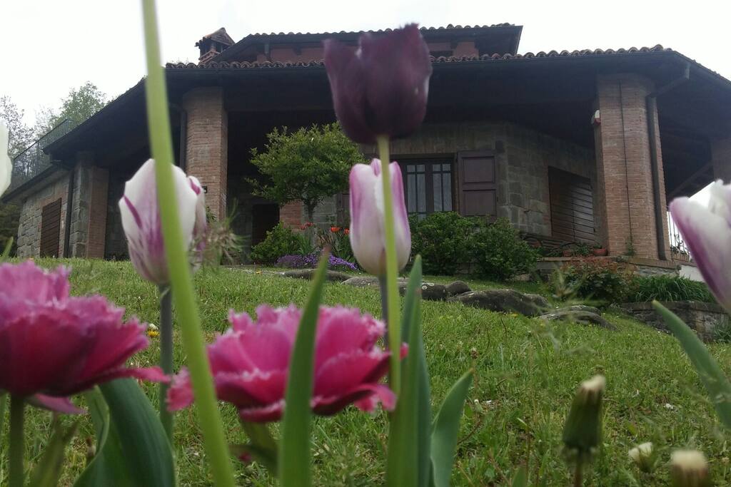 fioritura primaverile