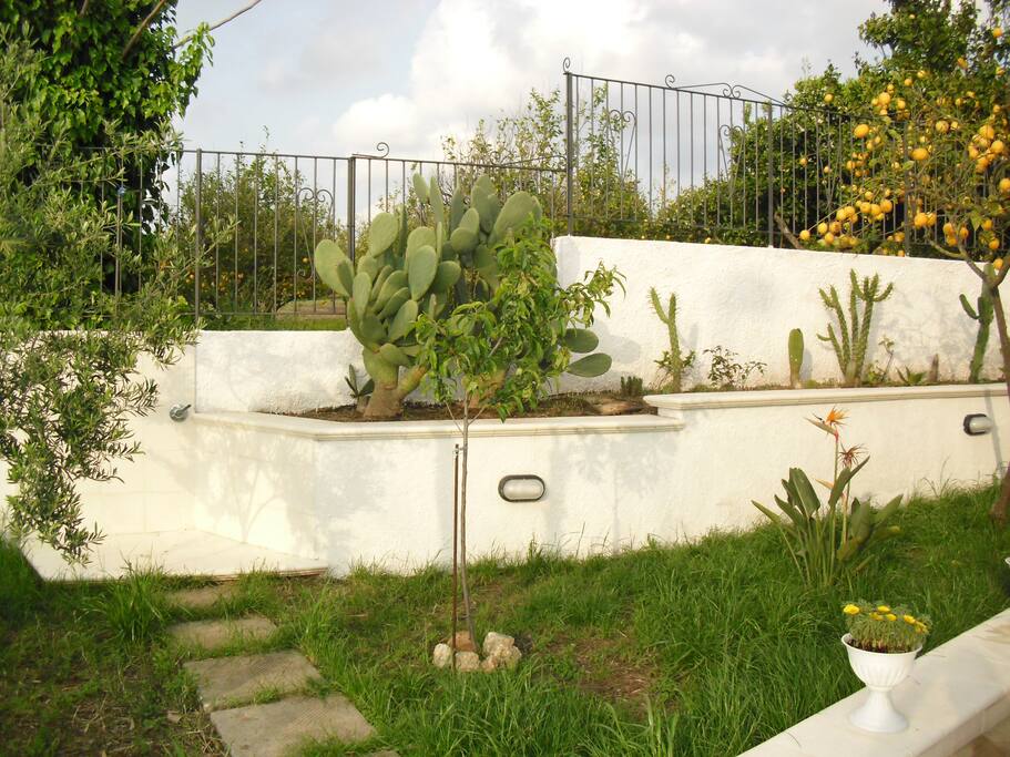 giardino con doccia esterna calda