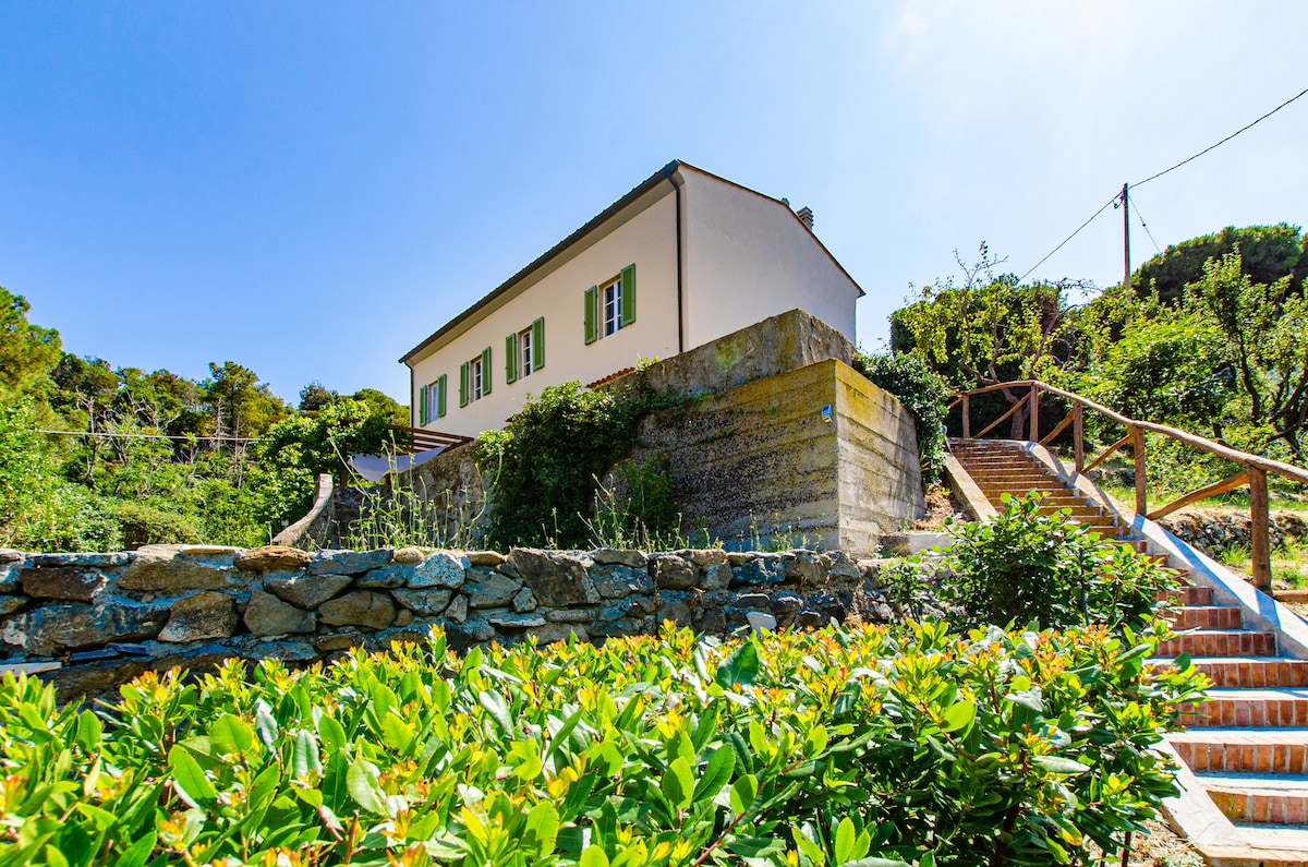 The exterior of the two-story house is surrounded by lush greenery, with a stone wall framing the entrance. A wooden staircase leads up to the house, which features green-shuttered windows and is set against a clear blue sky.