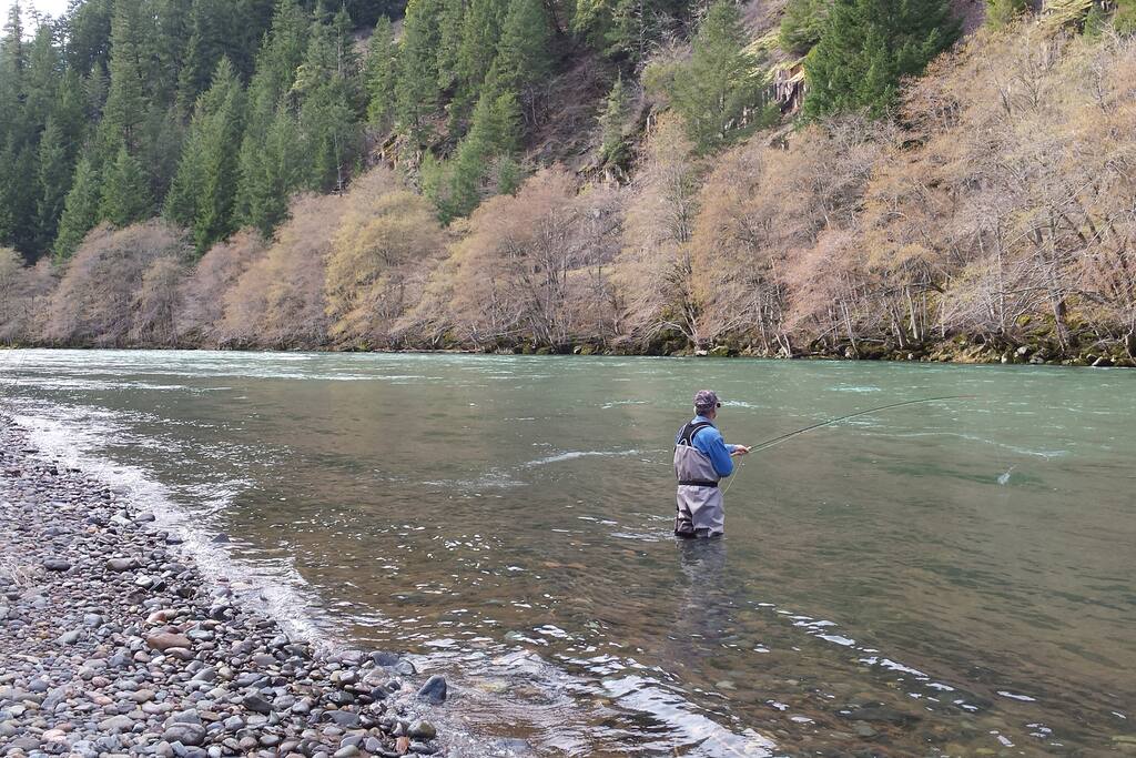 Rick fishing the N. Umpqua.