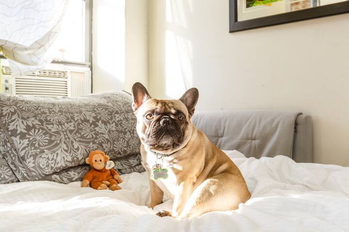 Lower East Side/Chinatown Bedroom