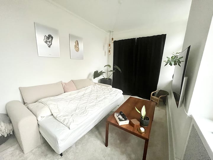 Solveværelse nr. 3/stue. Sovesofa 200x140 cm med topmadras. 