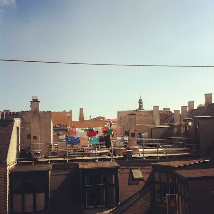 Roof top