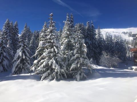 Top Airbnb: Courchevel 1850, exceptional, ski-in/out à Courchevel