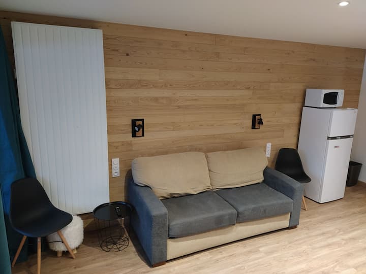 Appartement Tour Sumène Au Lioran Pieds Des Pistes - Murat