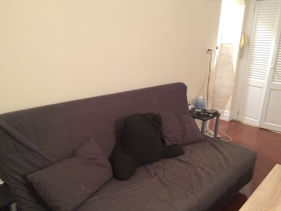 Pull out couch