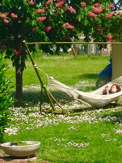 giardino