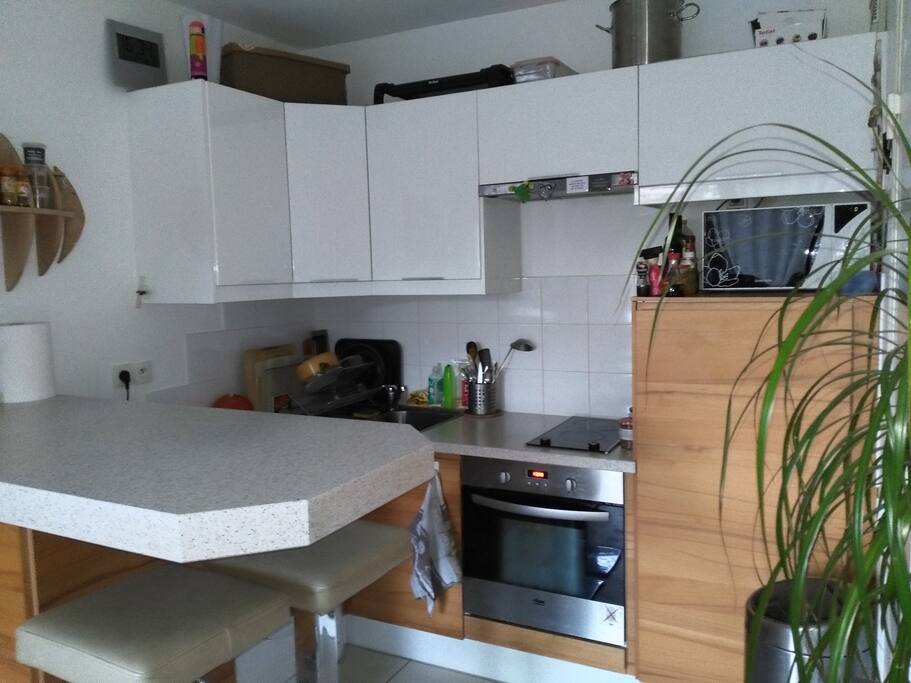 Cuisine équipée ouverte sur le salon
